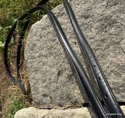 Hunts Presentation Traces 81"