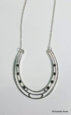 Large Horseshoe Necklace