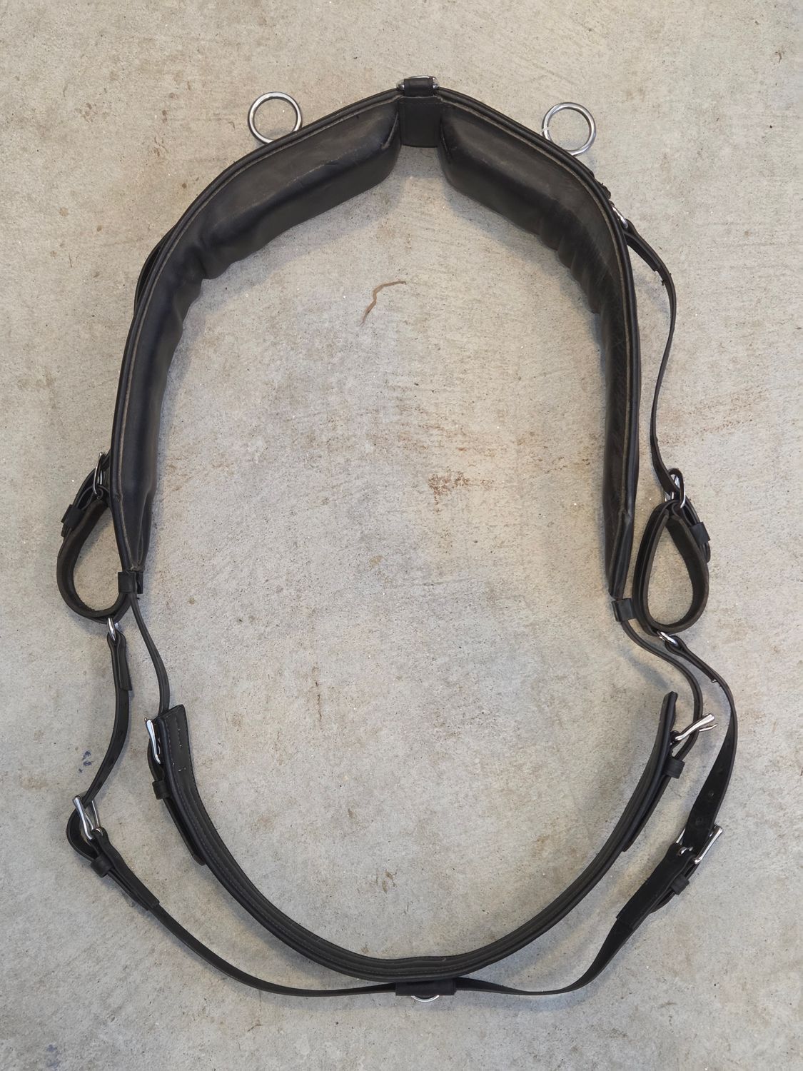 Camptown Harness - Horse Size
