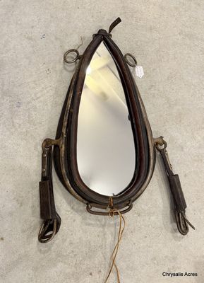 Antique Collar Mirror