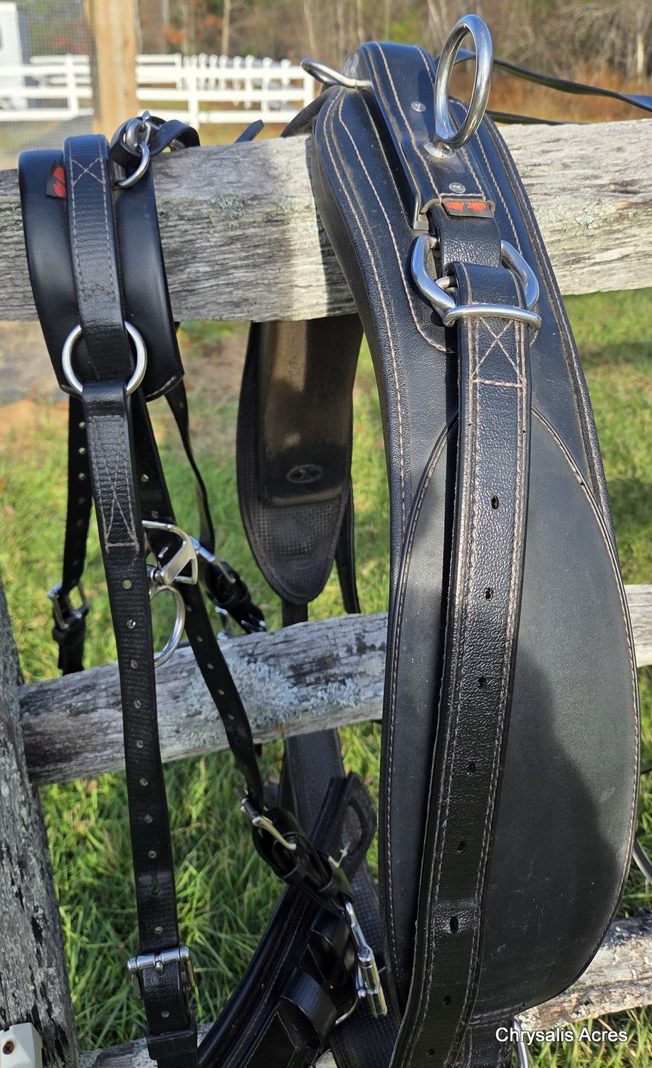 Zilco Pairs Harness - Horse size