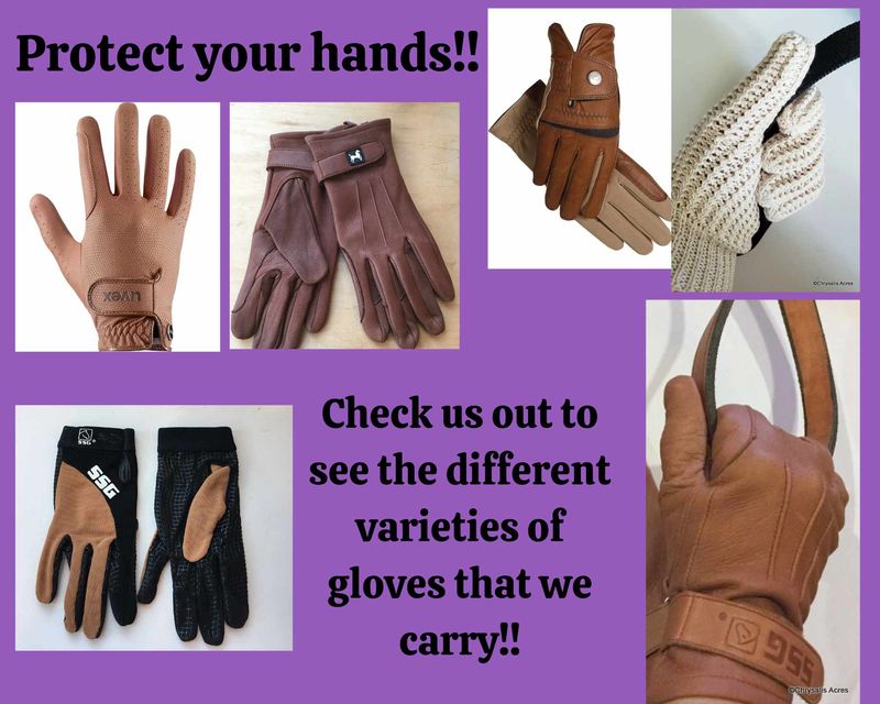 Gloves