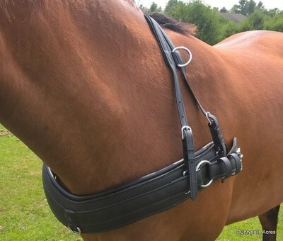 Breastcollars