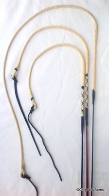 Whips
