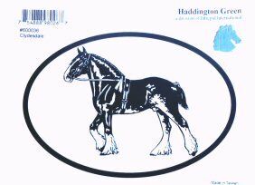 Oval Decal