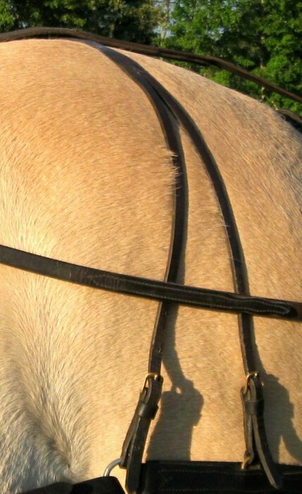 Leather Hip Strap