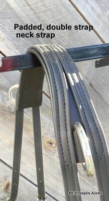 Orbit Pleasure Harness