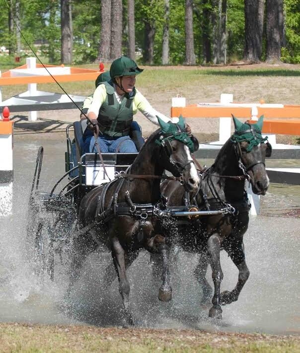 Driving Reins - Pairs - Colored Bio