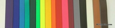 Driving Reins - Pairs - Colored Bio
