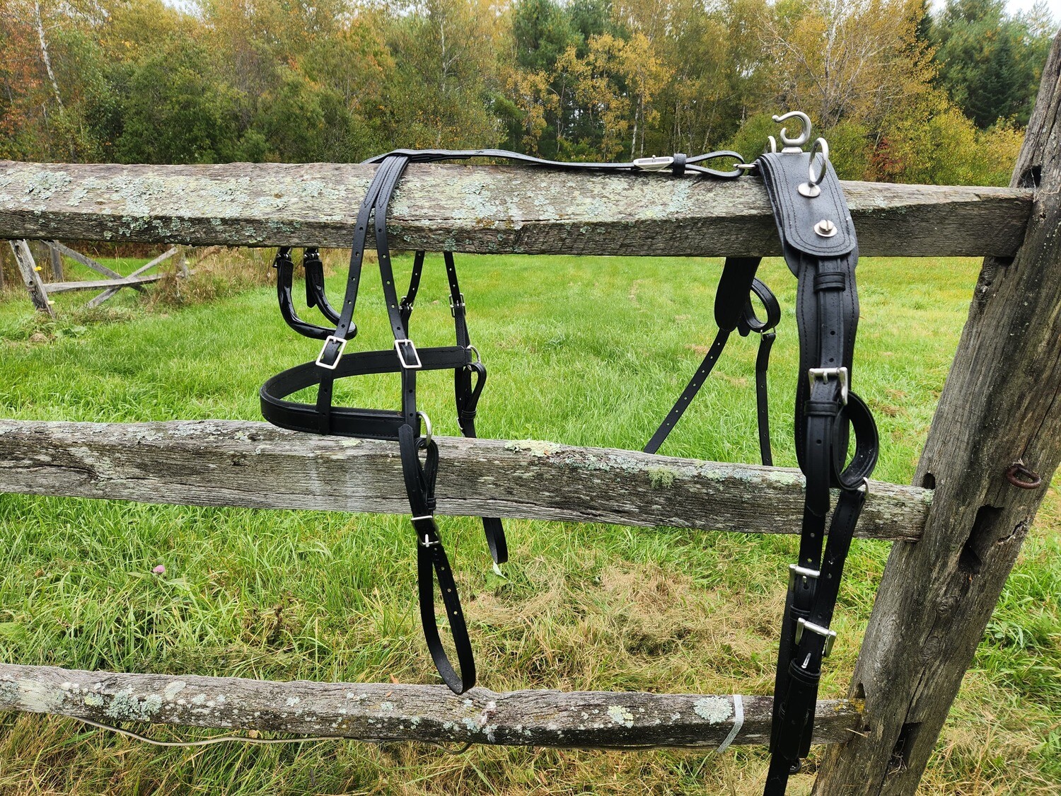 Pluto Harness