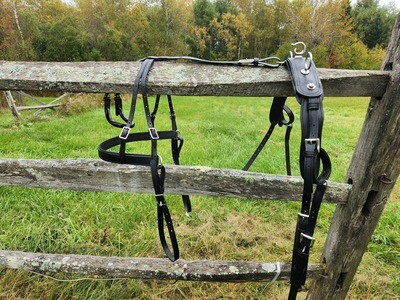 Pluto Harness