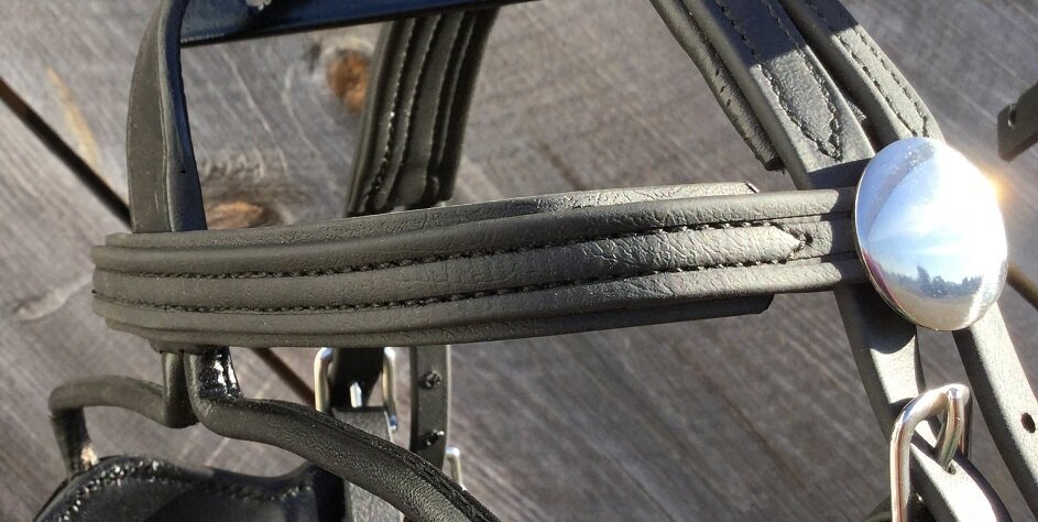 Biothane Browband