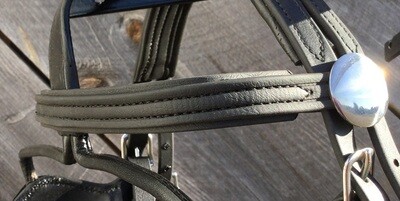 Biothane Browband