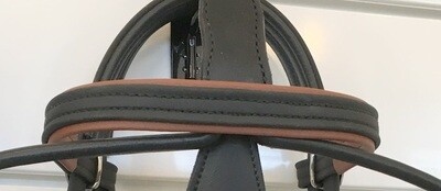 Biothane Browband