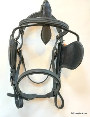 Regular Bridle