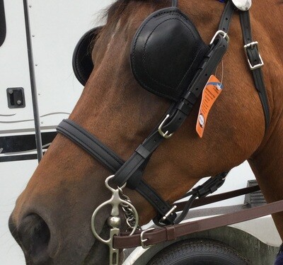 Regular Bridle