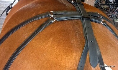Hip Strap - Biothane, Articulated
