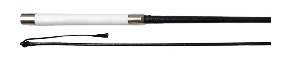 Training (In Hand) Whip