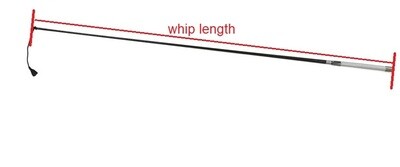 Training (In Hand) Whip