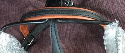 Padded Bio Browband