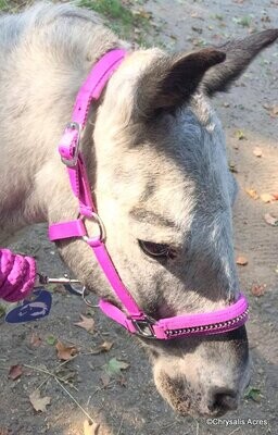 Padded Halter w/rhinestones