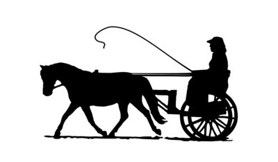 Window Decal- Trotting Mini