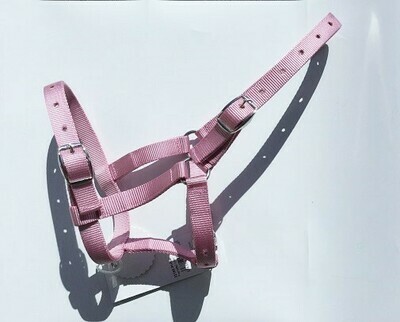 Mini Nylon Nose buckle Halter
