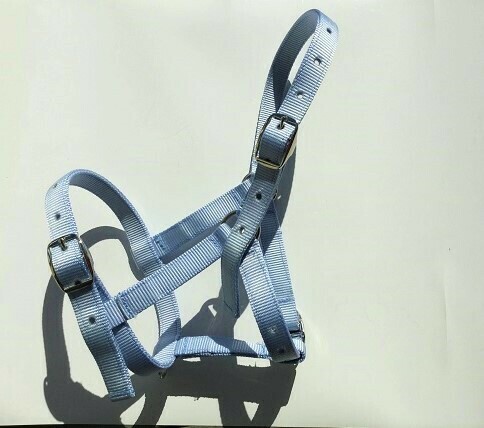 Mini Nylon Nose buckle Halter, Color: Baby Blue