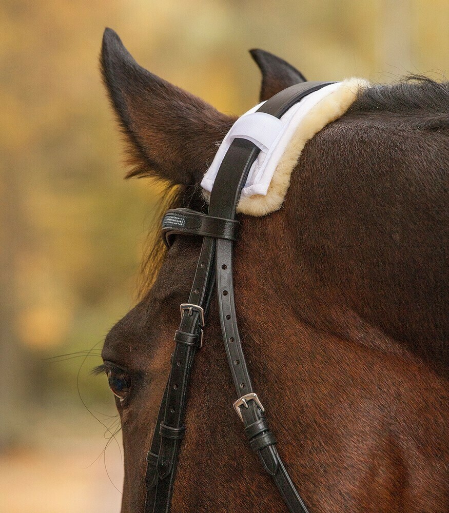 Sheepskin Fleece Protector