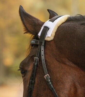 Sheepskin Fleece Protector
