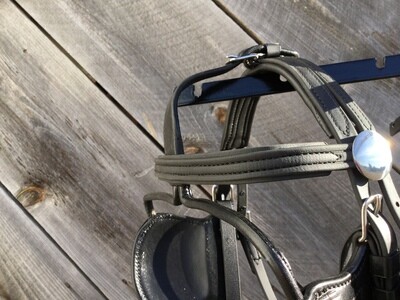Regular Bio Bridle Crown