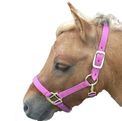 Deluxe Nylon Mini Halter
