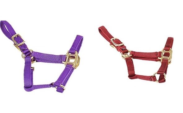 Deluxe Nylon Mini Halter