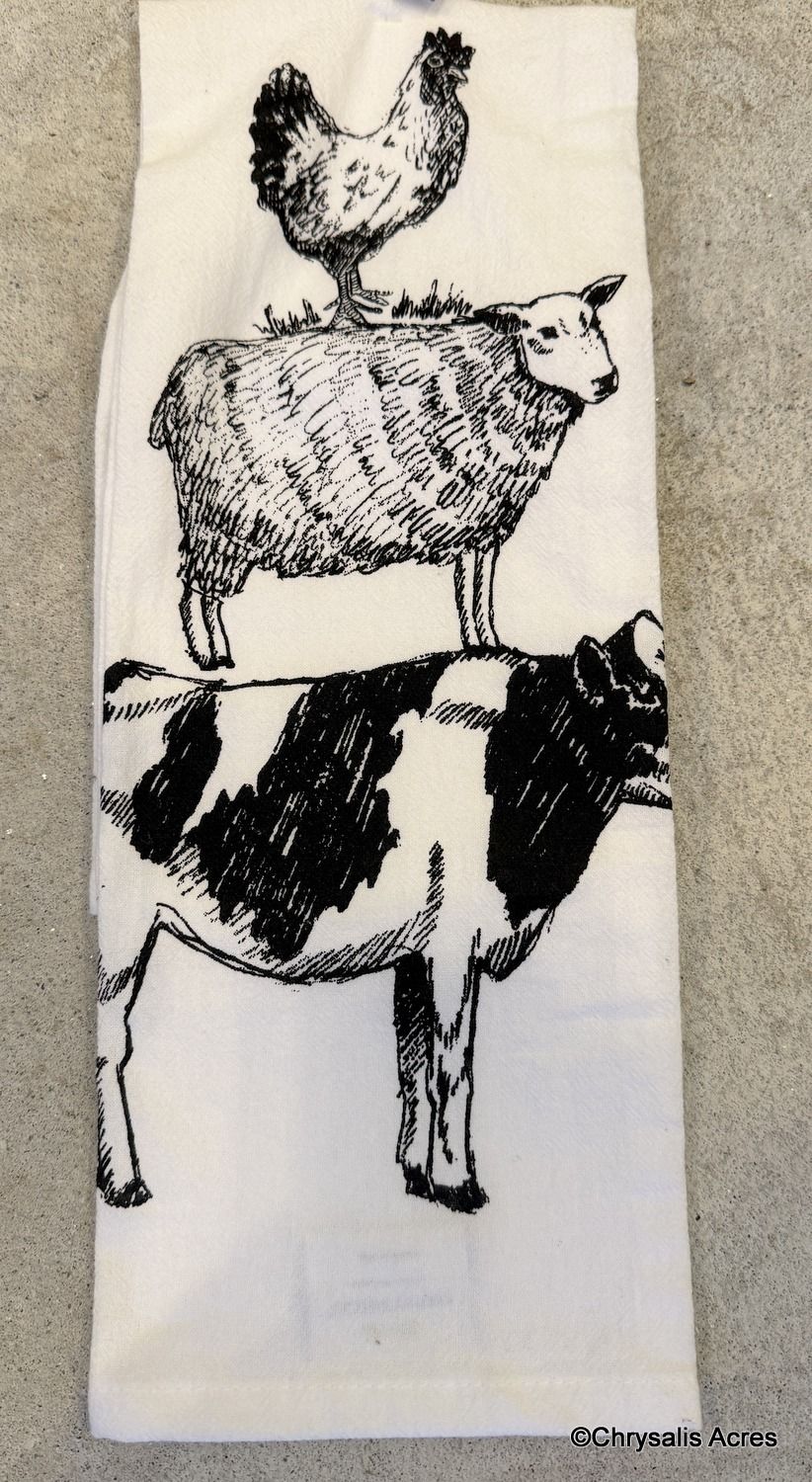 Dish Towel