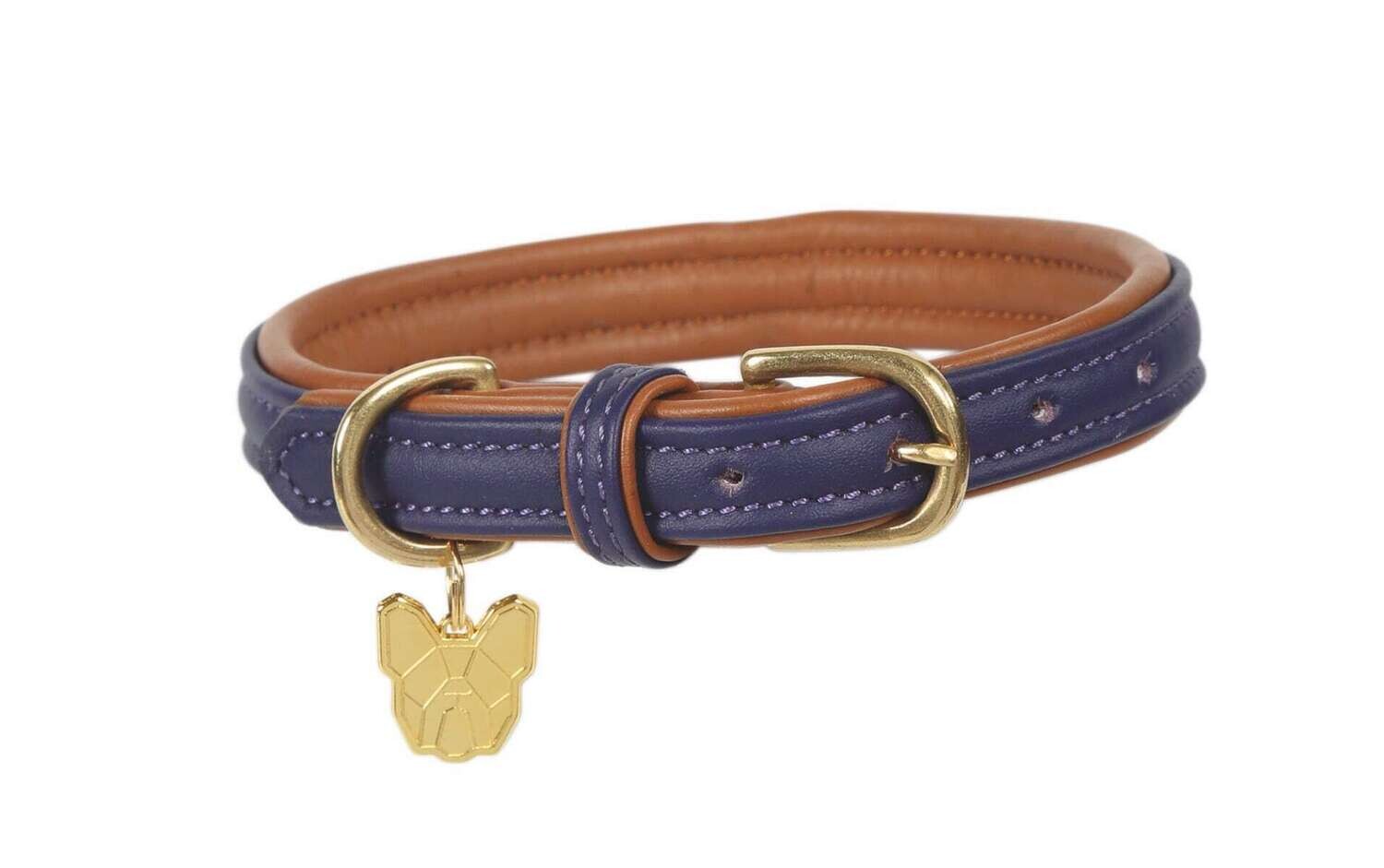 Padded Leather Dog Collar, Color: Purple, Size: XXXS