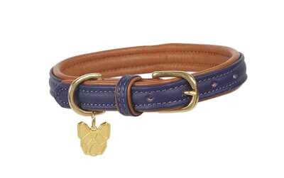 Padded Leather Dog Collar Padded Leather Dog Collar