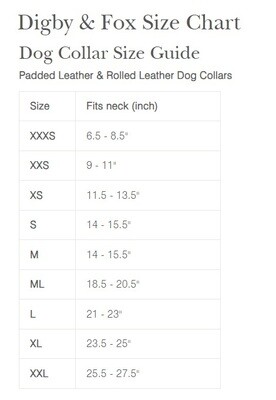 Padded Leather Dog Collar