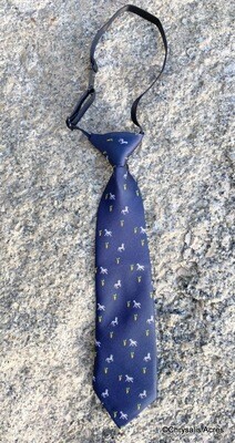 Boys Necktie