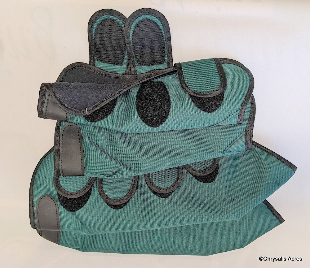 Shipping Boots for Mini's- Full Coverage Shipping Boots for Mini's- Full Coverage
