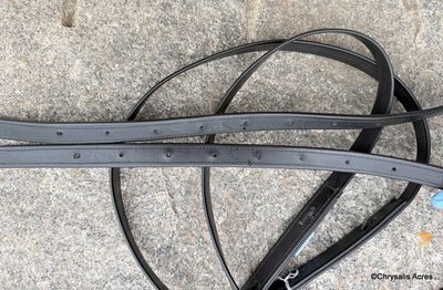Traces - Slot End - Biothane 84" x 1"