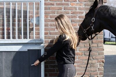 Pull-Over - Crystal Snaffle