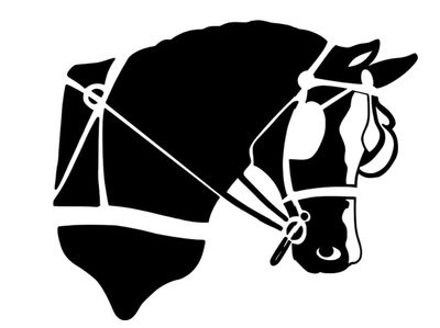 Decal - Driving Bridle Pony