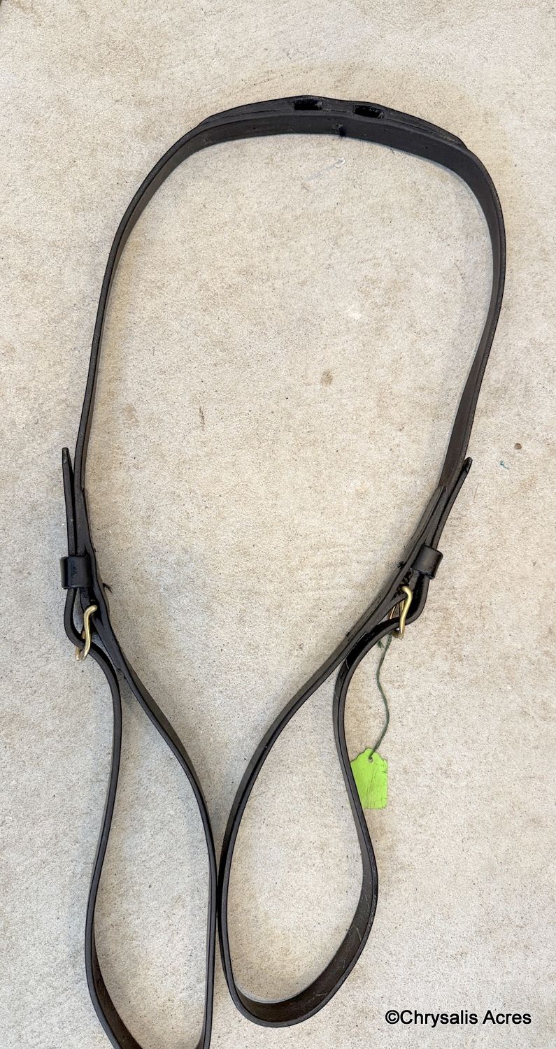 Leather Kicking Strap - Cob