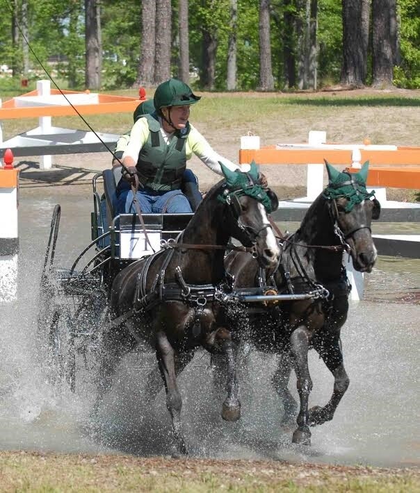 Driving Reins - Pairs Bio w/Grippy
