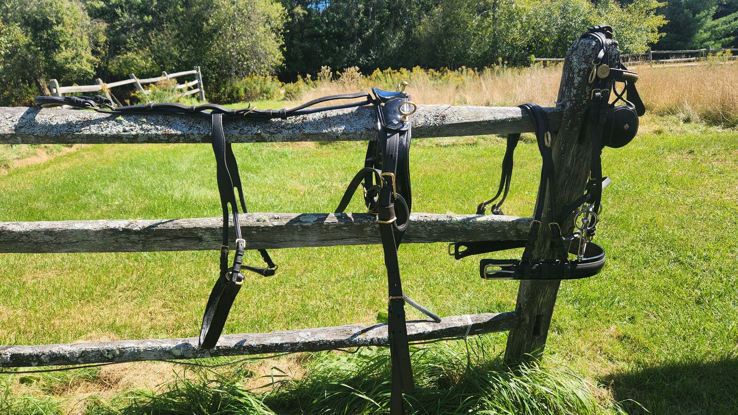 Large Pony/Cob Show Harness
