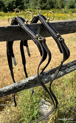 Shetland Pair Harness