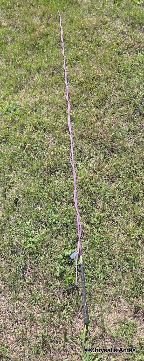 Purple Lunge Whip 90"
