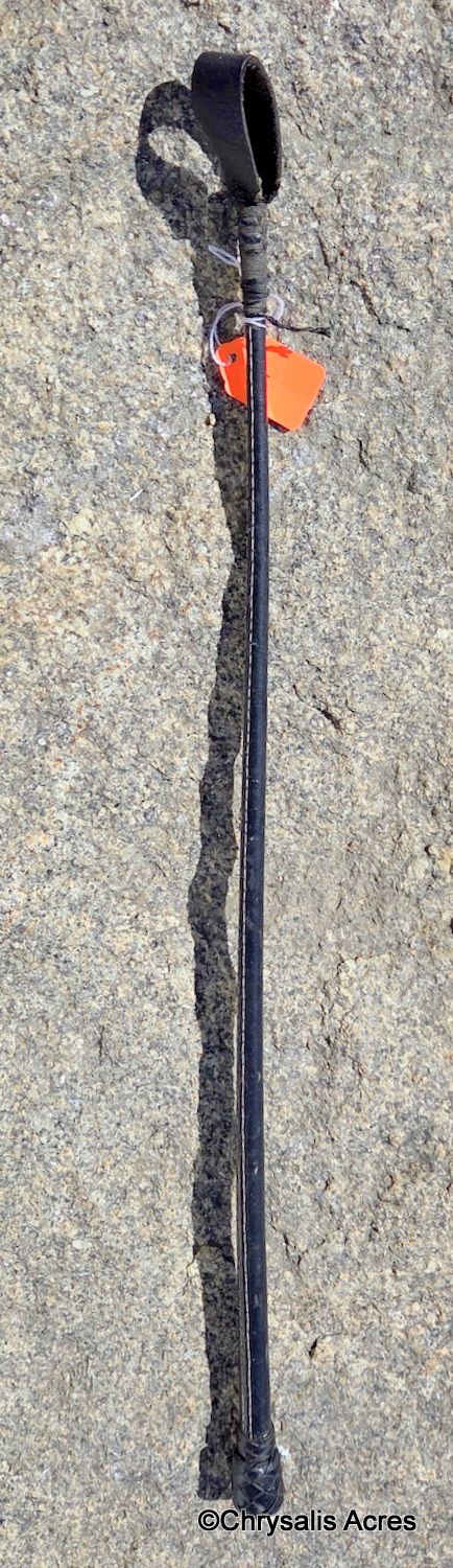 All Leather Riding Crop