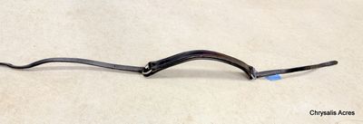 Neck Strap - single strap- Pony