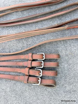 Leather Pair Reins with Web Grip - Horses size